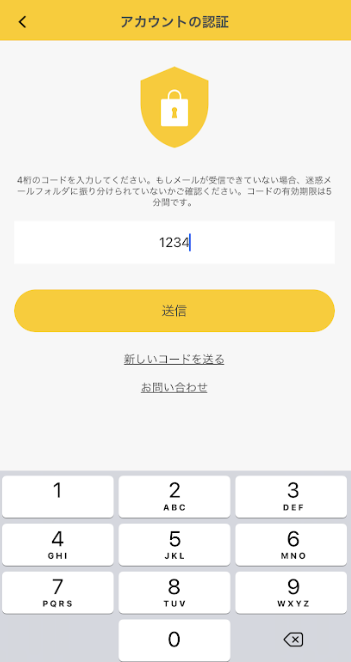 doorzo公式アカウント01様ご専用。フェイラー 新品 テイッシュ
