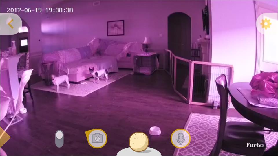 nightvision.jpg