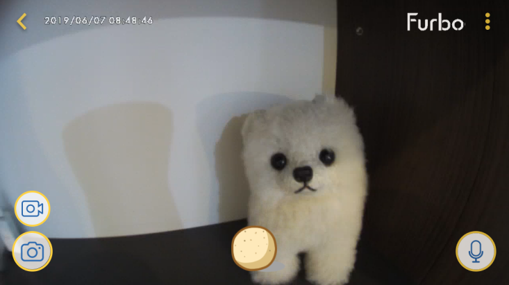 toss_1.png