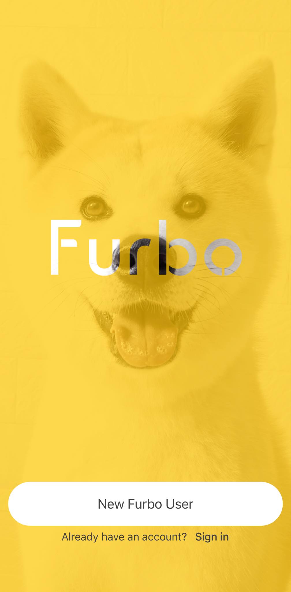 Furbo perros best sale