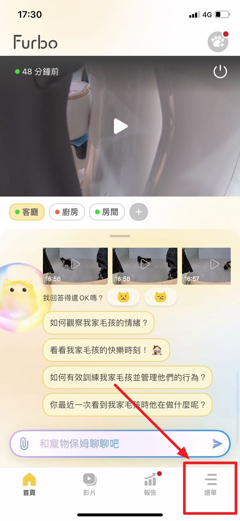 TW自動追蹤GIF.gif
