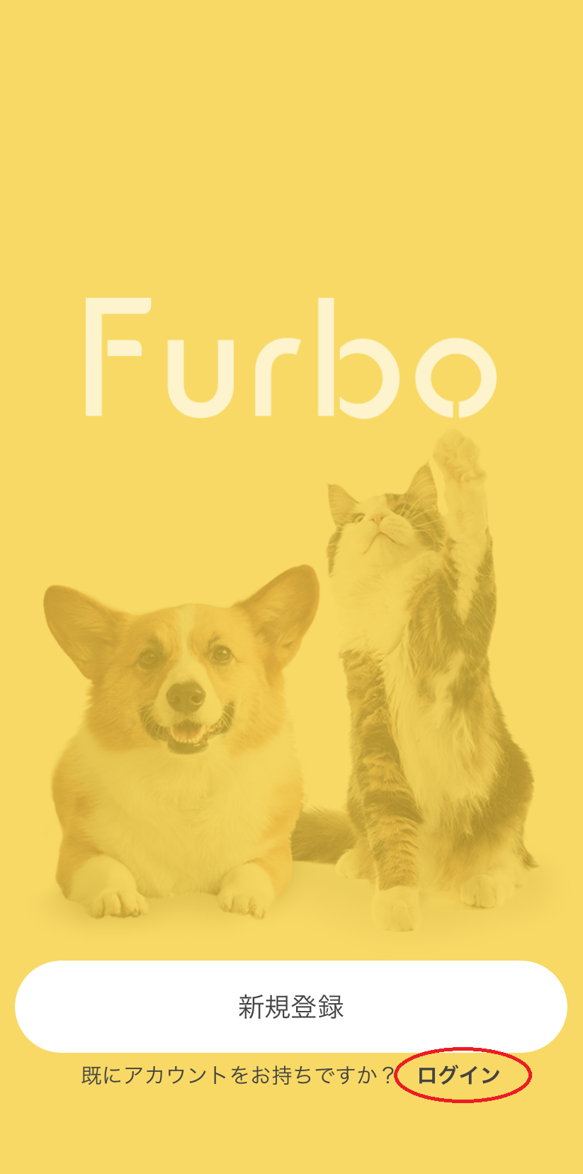 Furboアカウントの作成および共有について – Furbo サポート