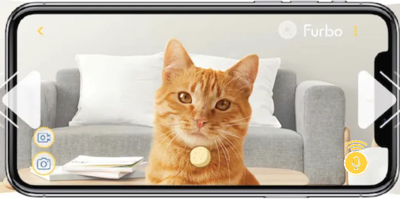 cat live view mic.png