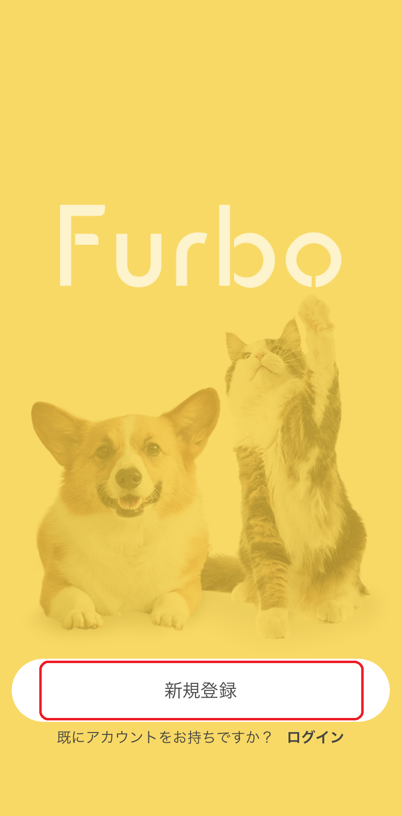 Dog cat- account new.png