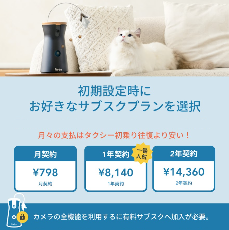 PSP cat.png