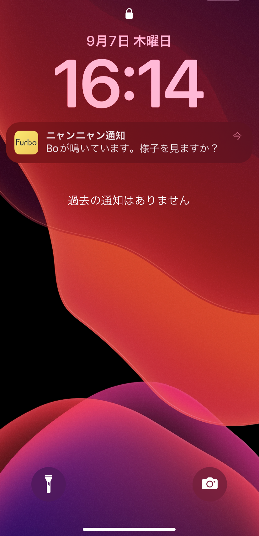 IMG_1362.PNG