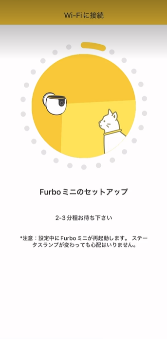 setup mini-cat.png