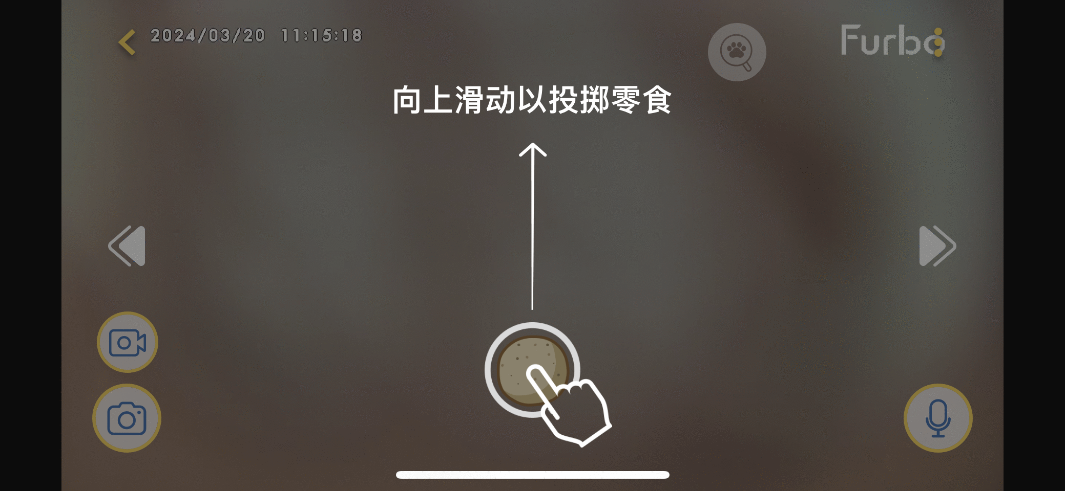 Cat cam 投餵簡中.gif