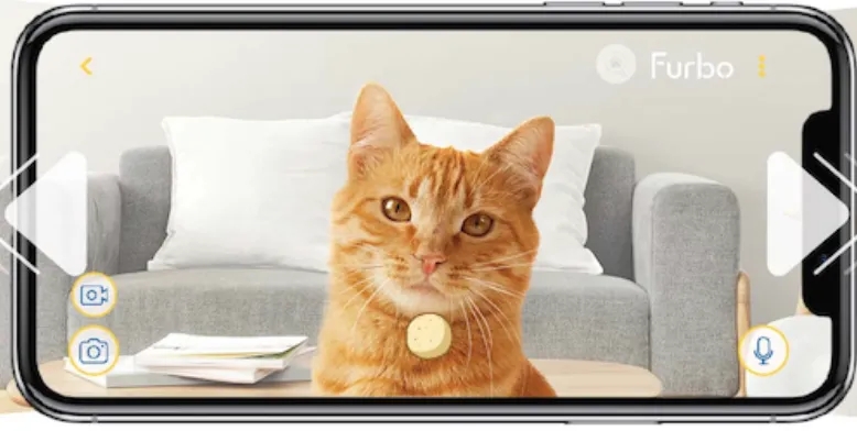 cat live view mic-1.jpg