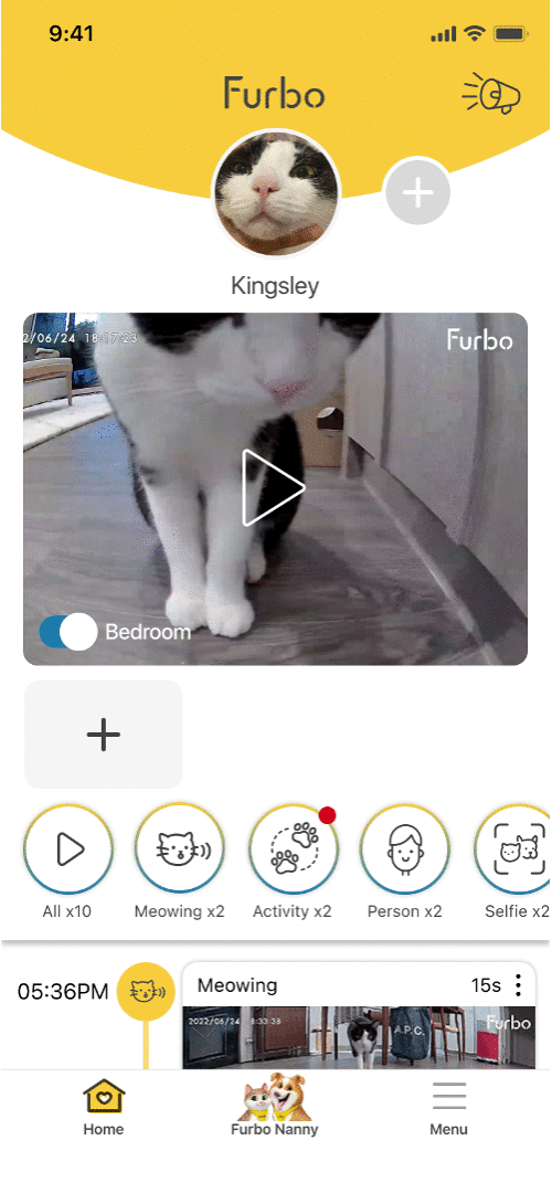Cat Diary.gif