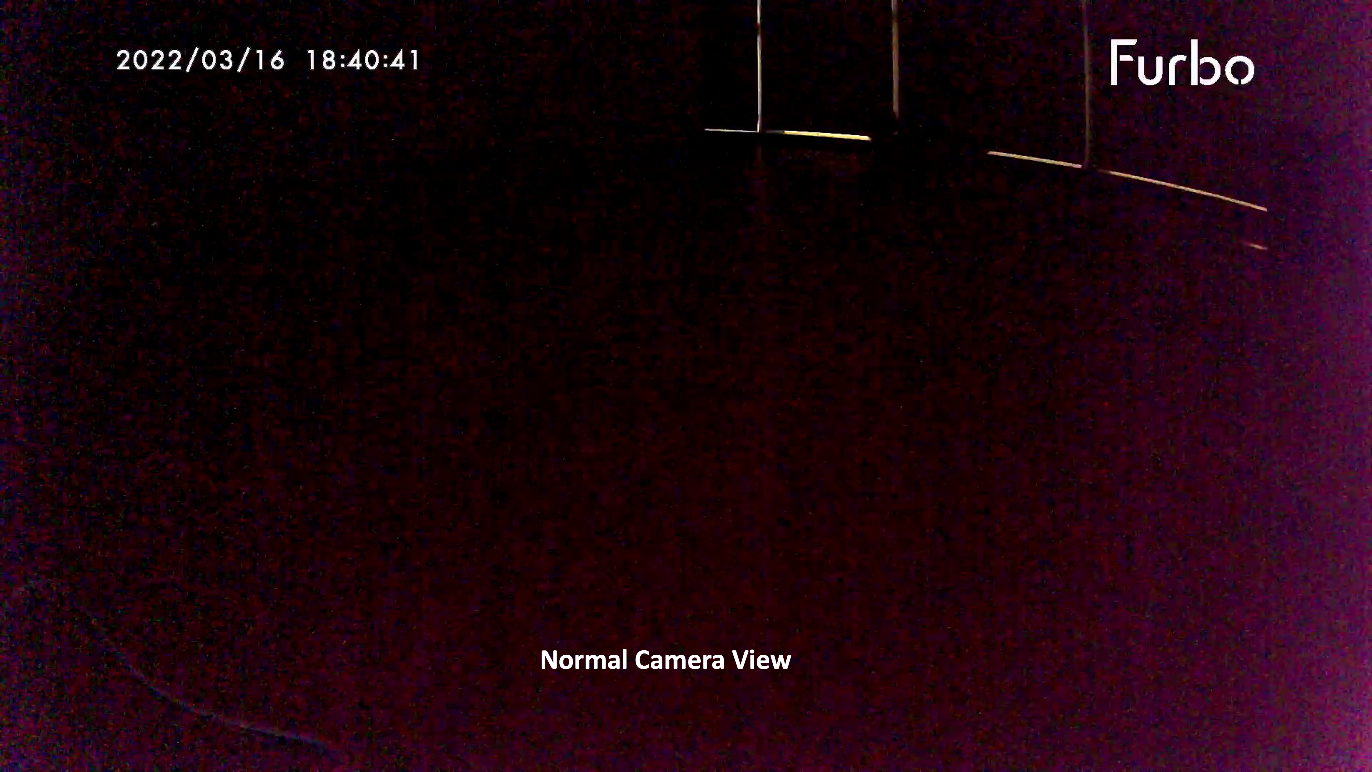 Normal