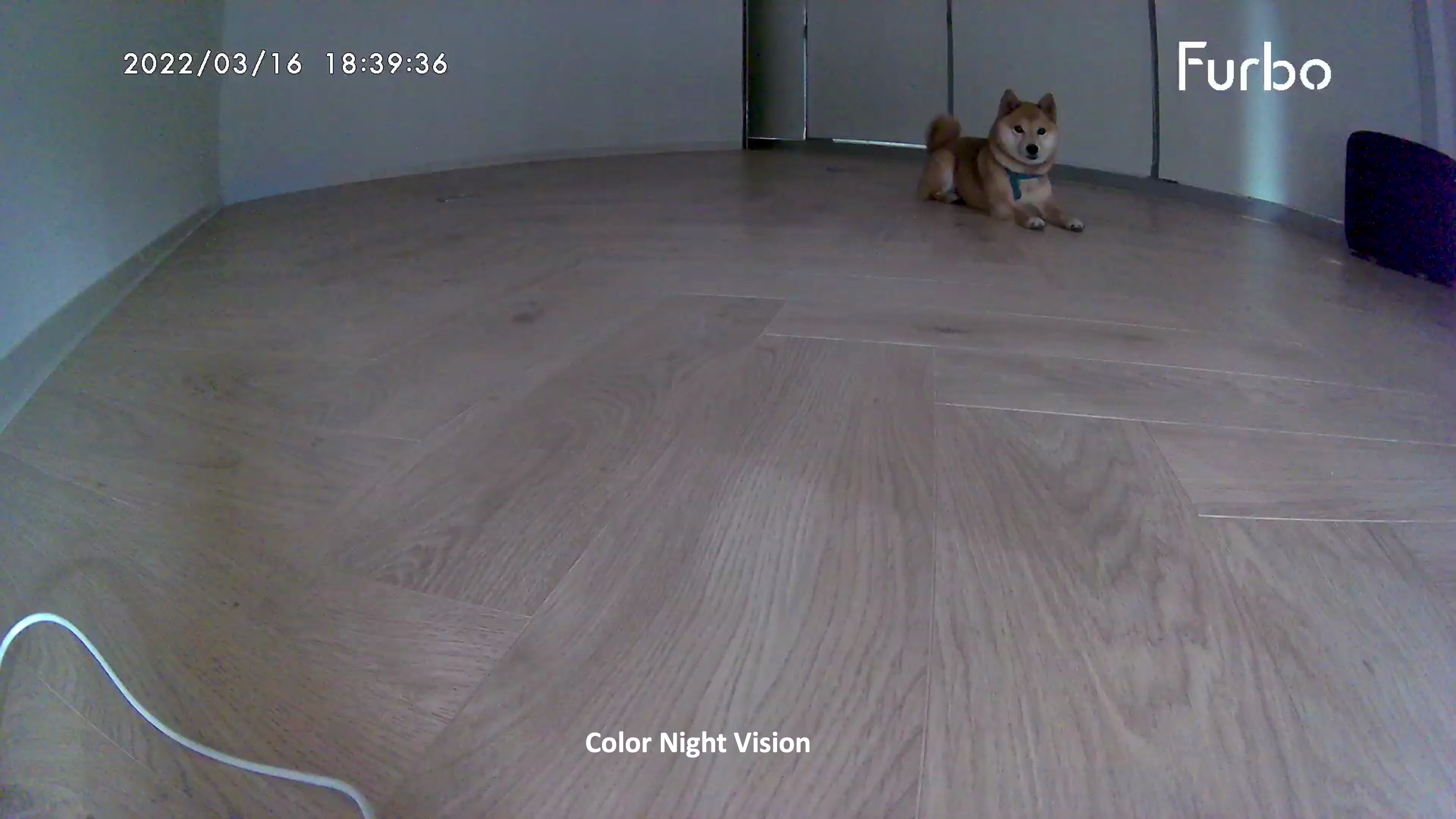 Colornightvison.png