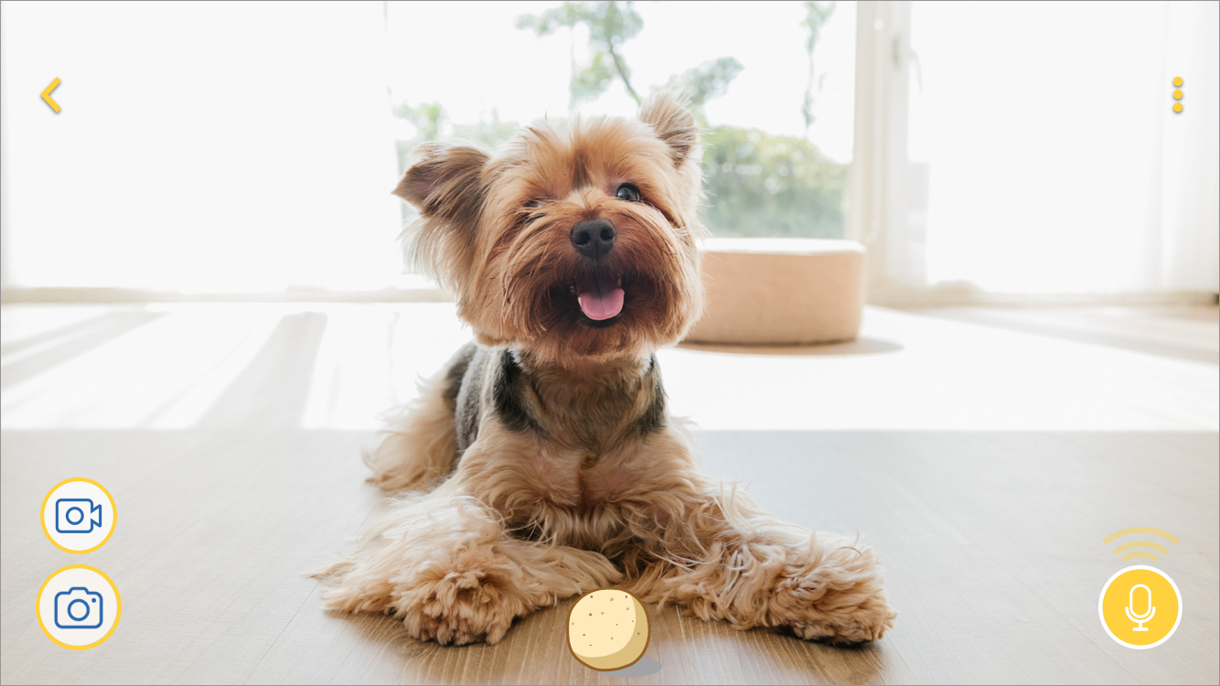 Furbo dog app 2025