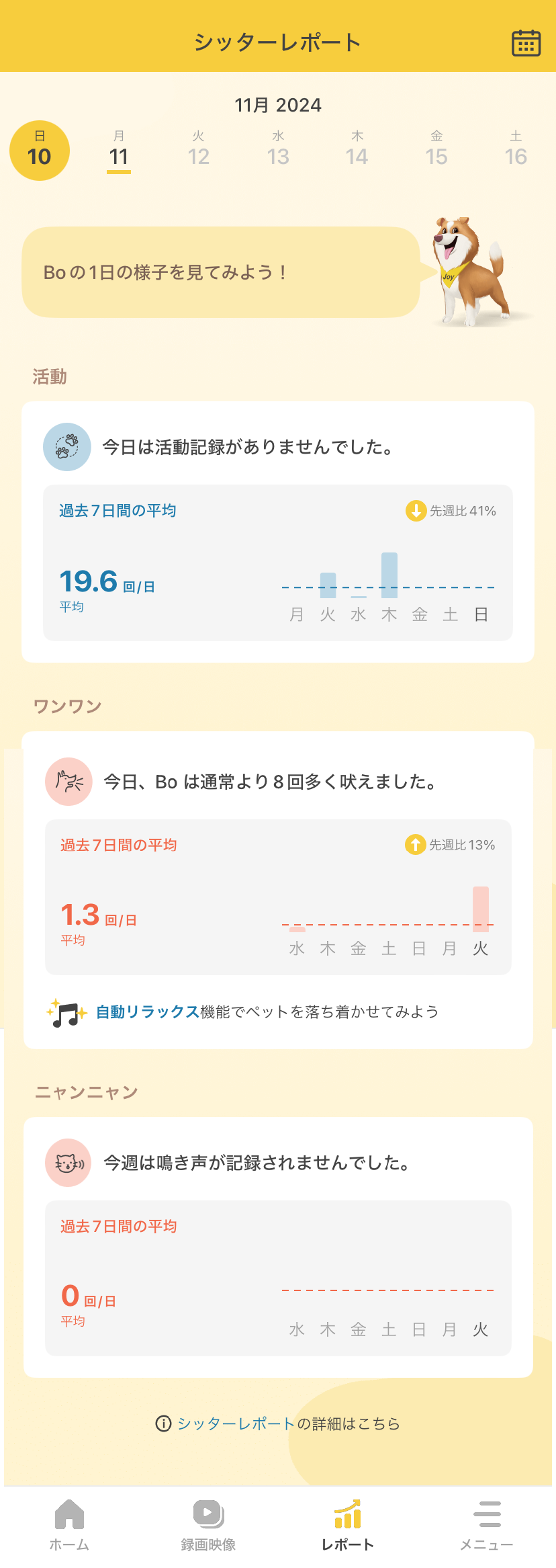 活動レポート画面イメージ