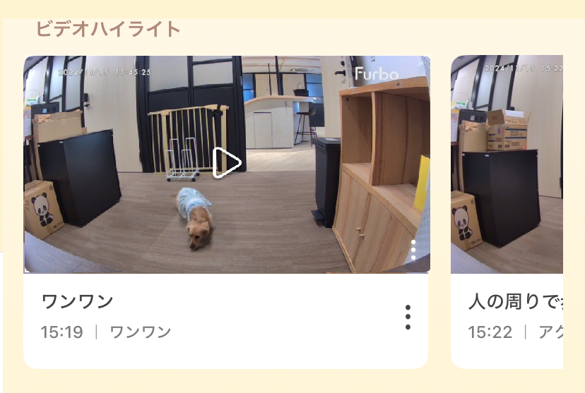 video highlight (JP).png