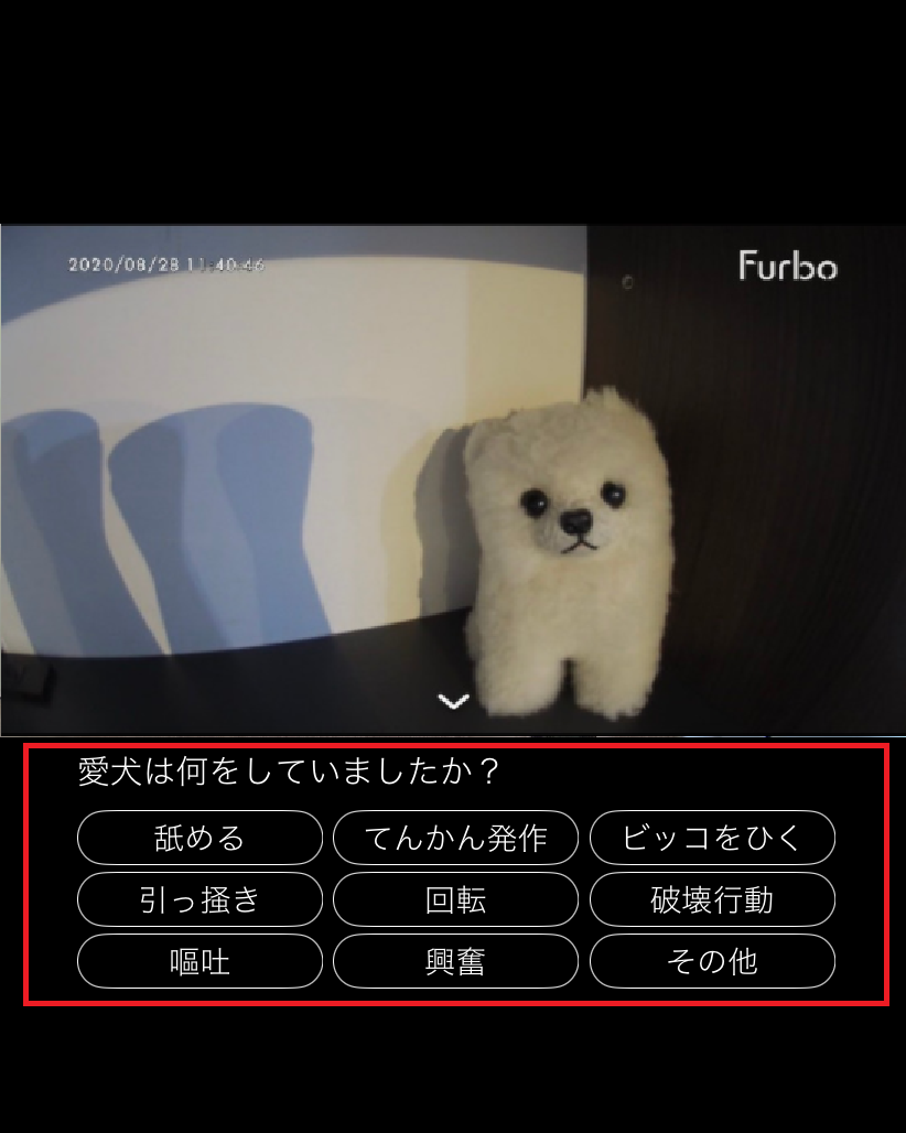 detection FB.png