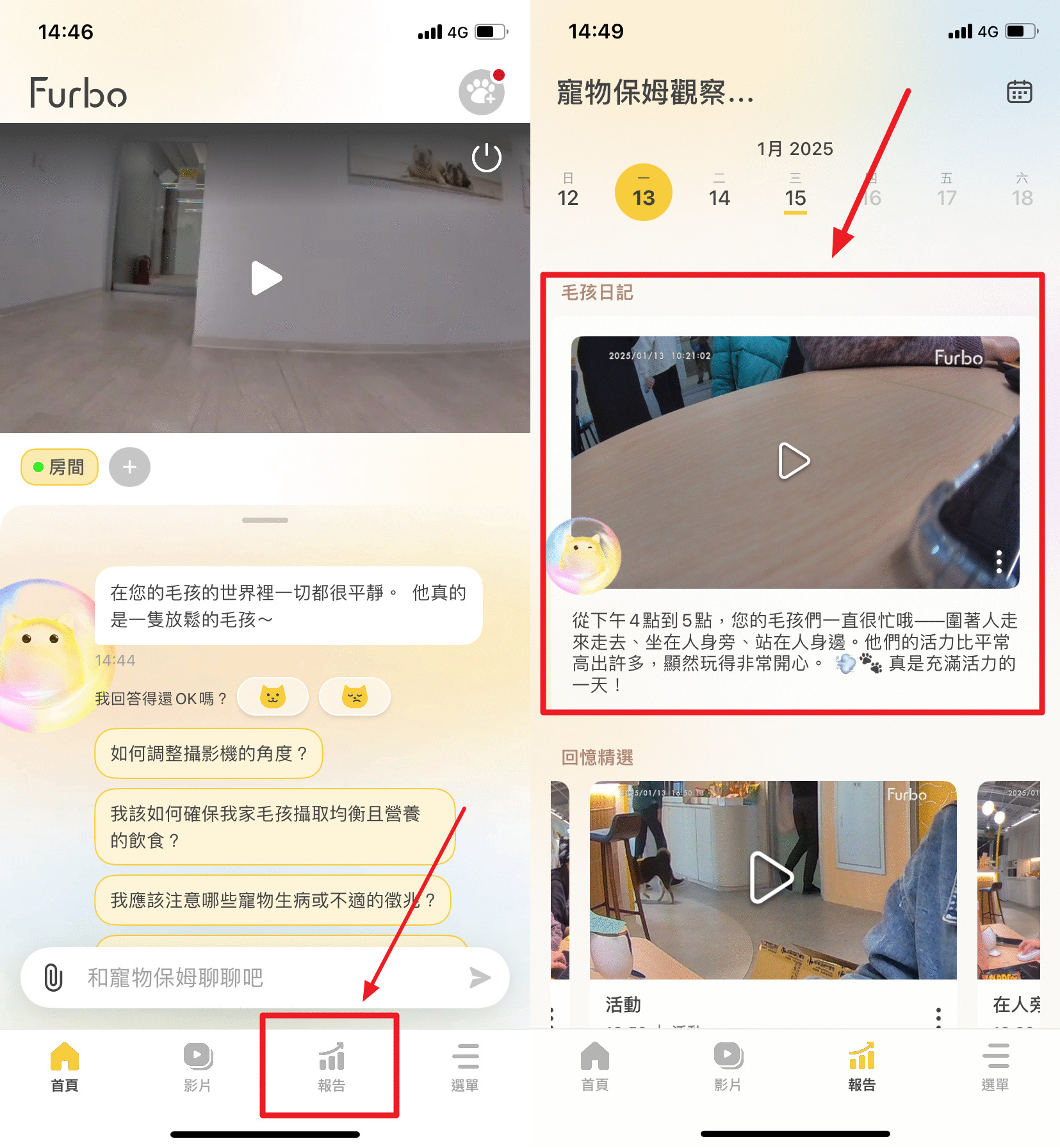 觀看毛孩日記.png