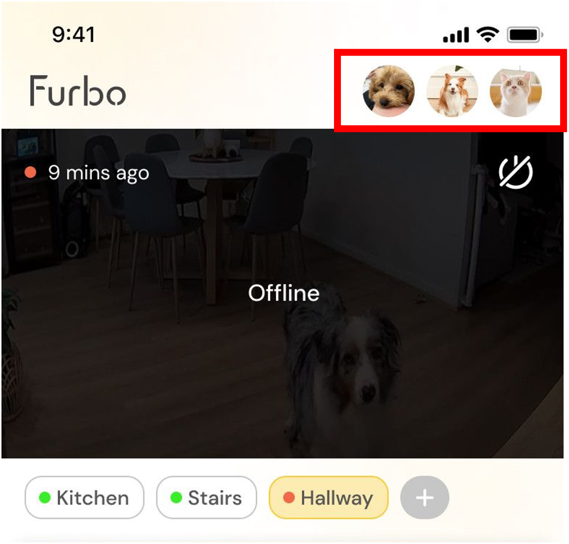 Pet profile 2.png