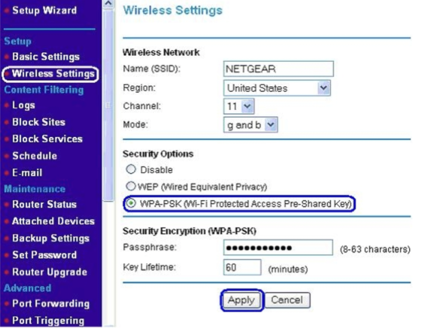 Wireless setting. Пароль на вай фай роутер Netgear. Netgear роутер SSID. WPA. Ключ WPA что это.