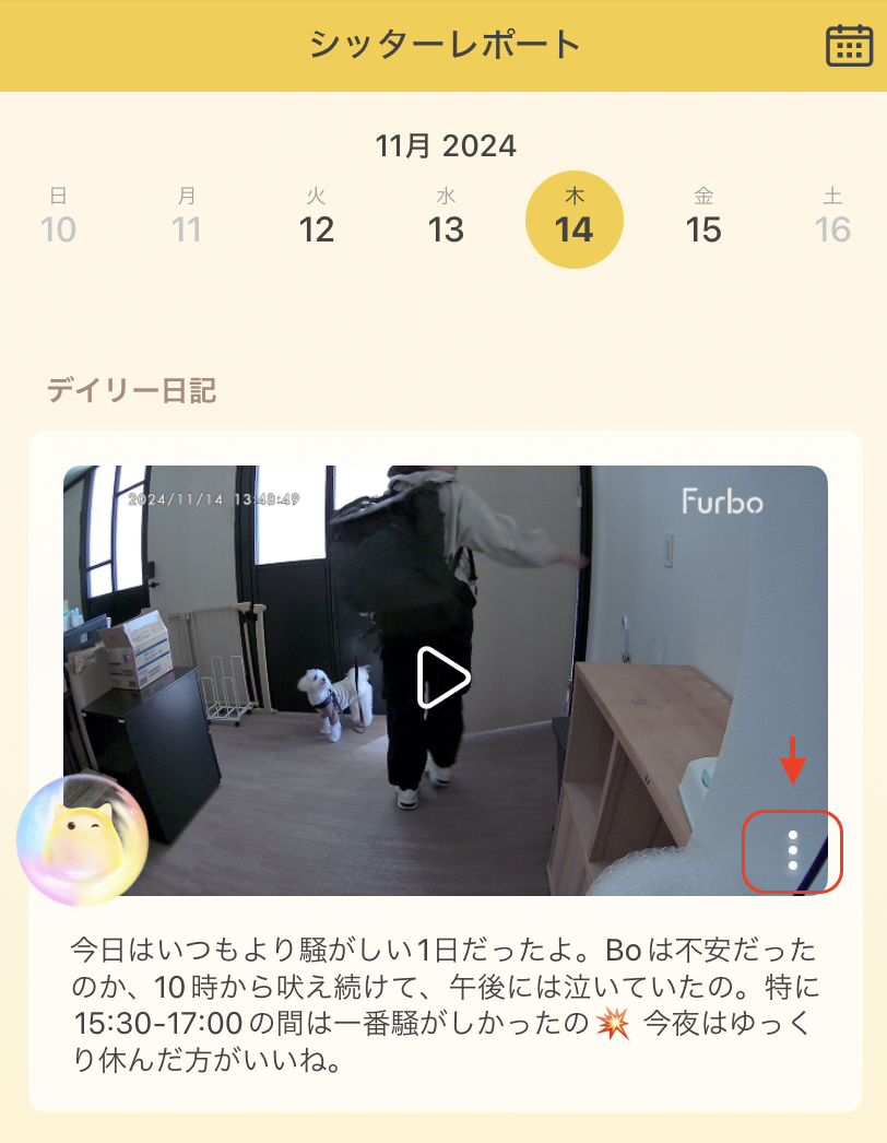 スクリーンショット 2024-11-18 10.39.13.png