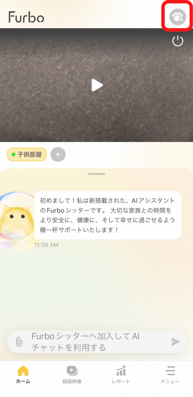 Cat Camera 828X1700.gif