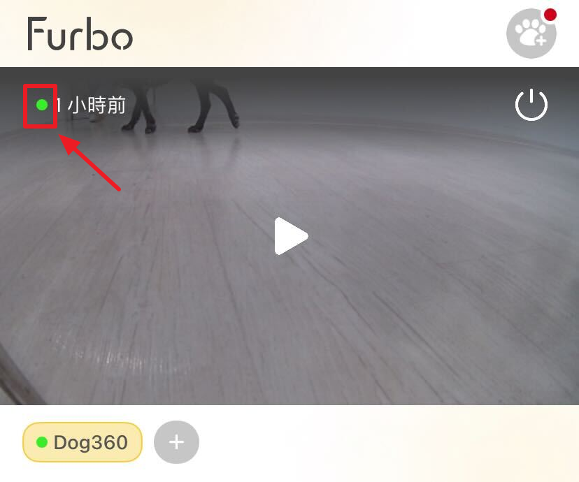 4.0 Camera Status.png