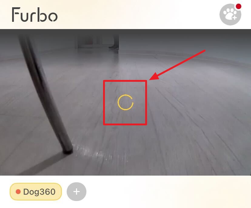 4.0 Camera Status Loading.jpg
