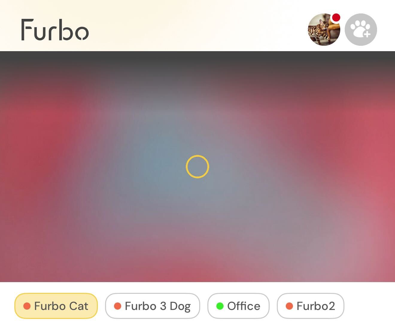 Furbo app Home Screen showing loading screen and no on/off button