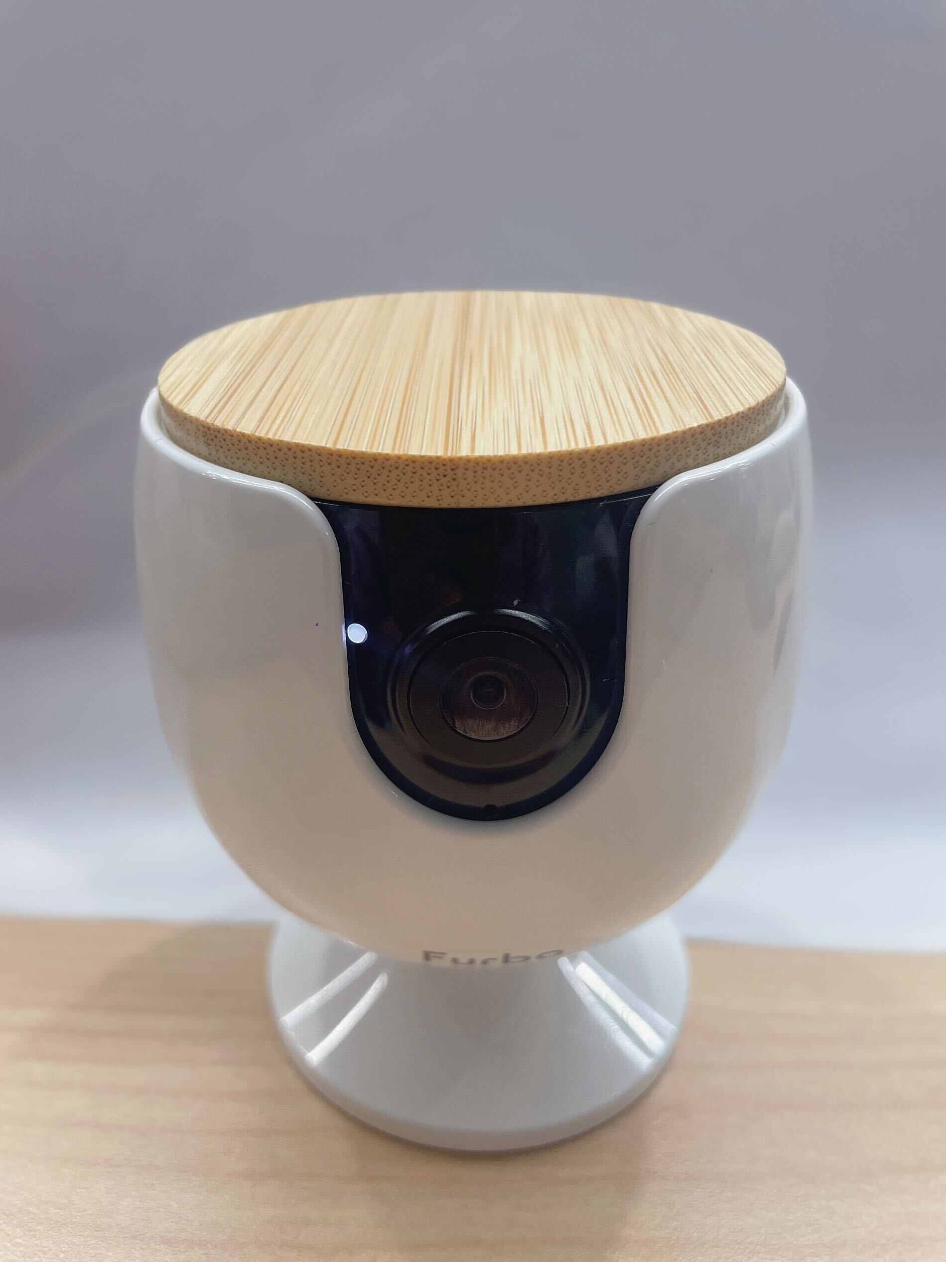 设置与更新_Furbo Mini 灯色的意思_白灯.jpg