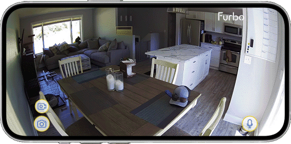 Dog Activity_Stuck climbing over wall_Frank_auto_zoom_with phone.gif