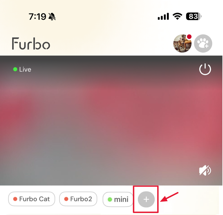 Capture d’écran avec flèche pointant sur le bouton plus
