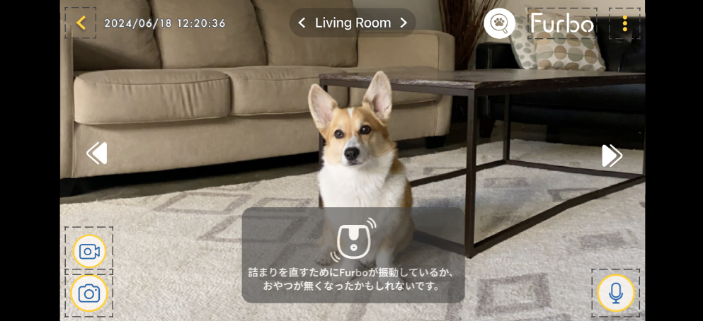 Mini360 treat jam1.PNG