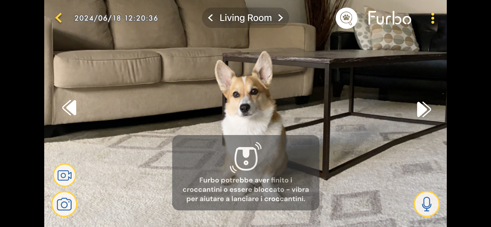 02_Mini 360_Treat Toss Troubleshooting Toast.jpg