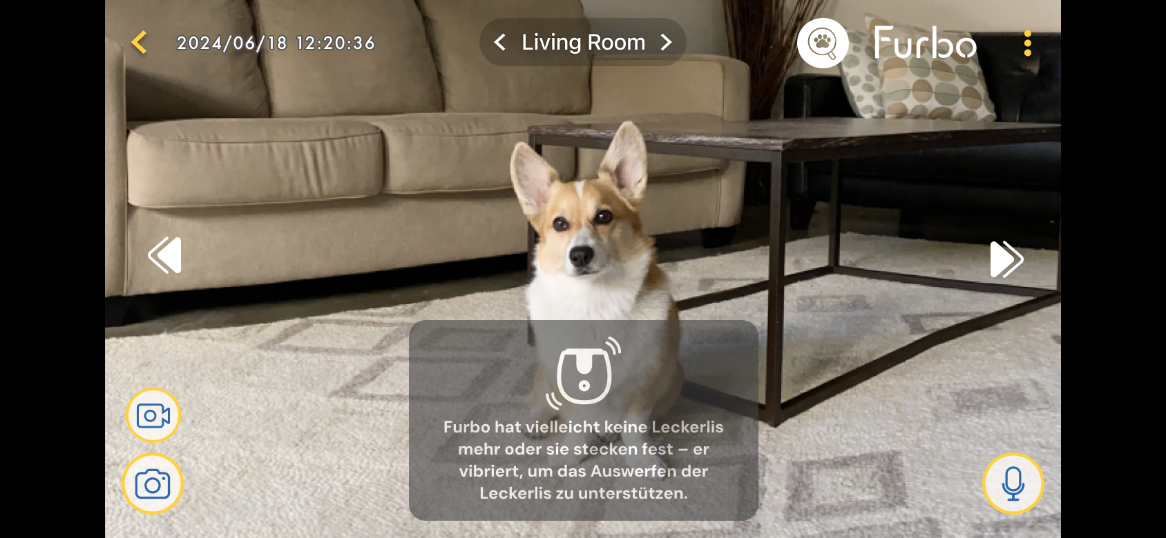 02_Mini 360_Treat Toss Troubleshooting Toast.jpg