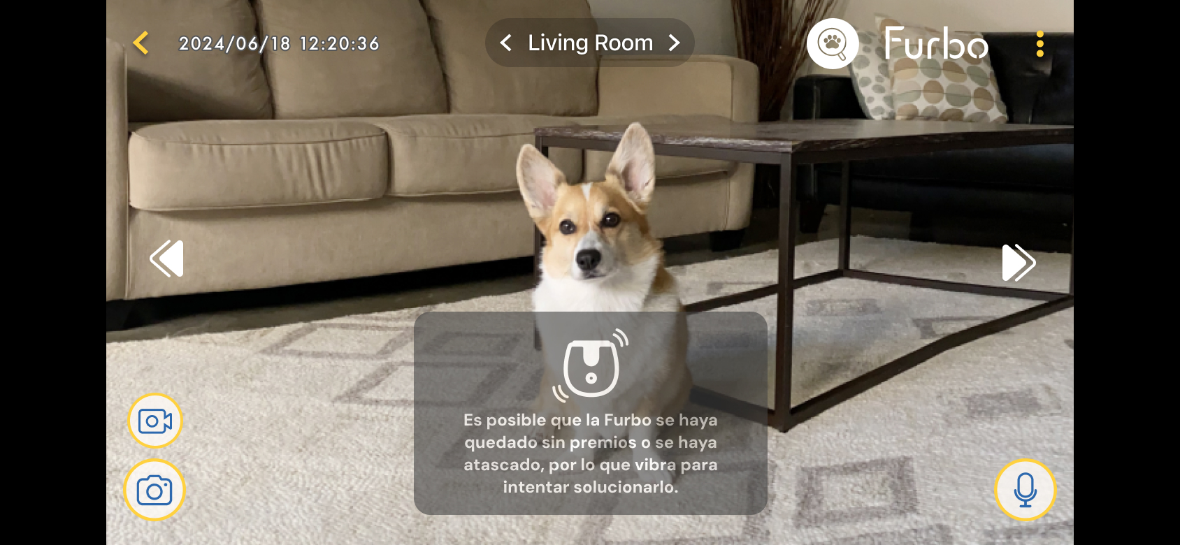 02_Mini 360_Treat Toss Troubleshooting Toast.jpg