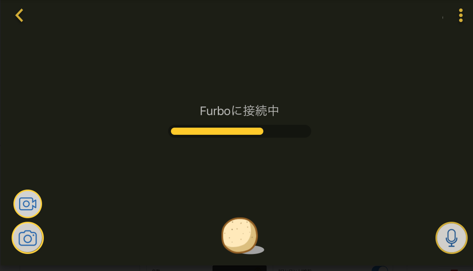 Furbo ライブビューエラー画面