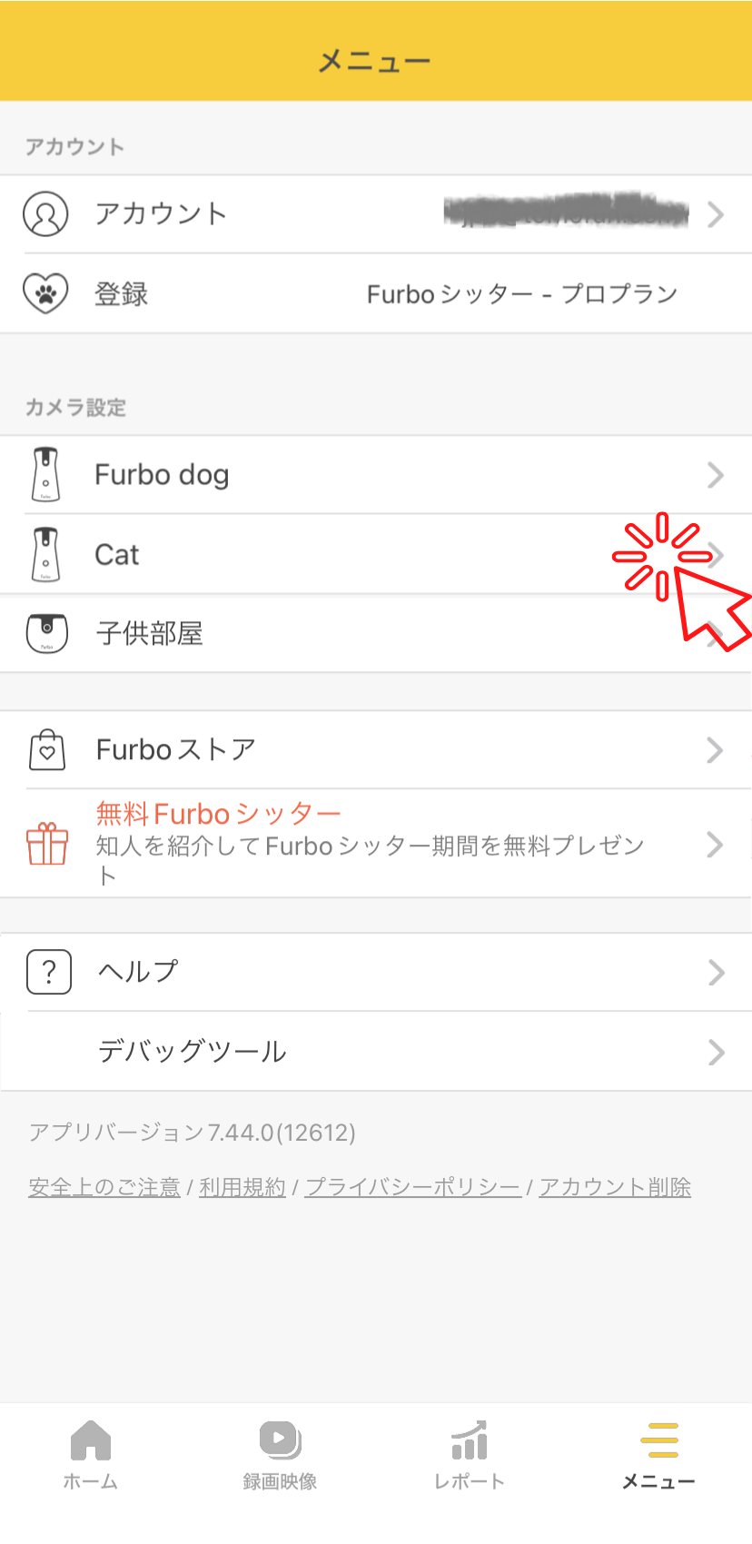camera name cat.png