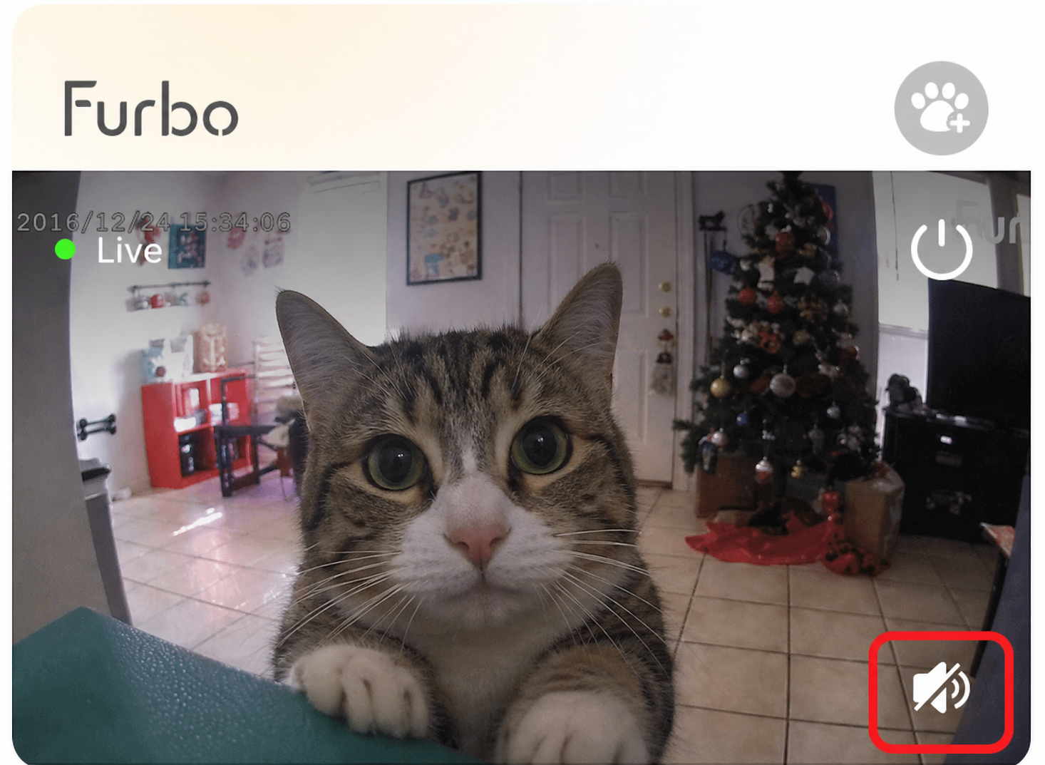 Speaker button Cat.png