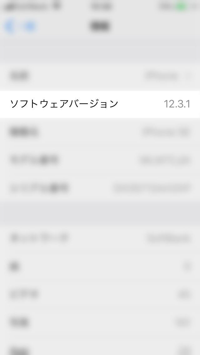 iPhone OS確認画面2