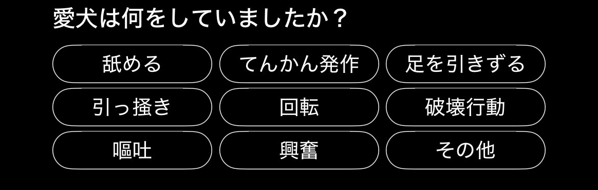 survey.png